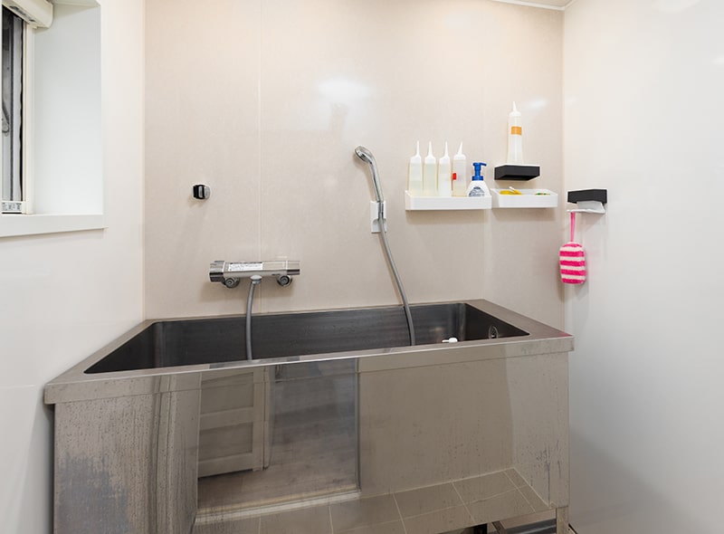 シャンプースペース